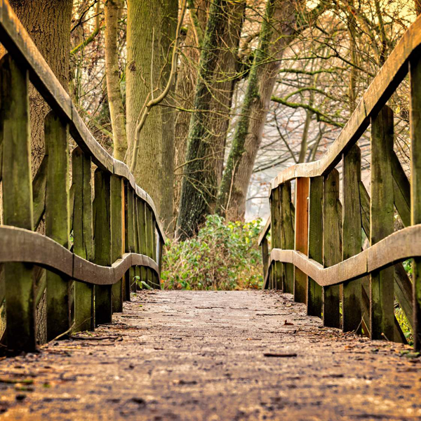 A wooden footbridge in a park